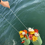 骨灰海撒