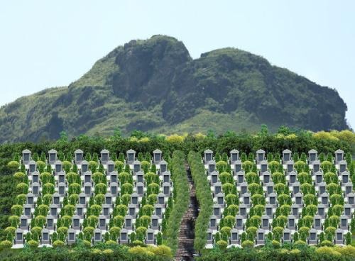传统与现代结合的墓地选择攻略