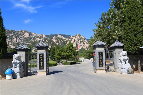 长安园骨灰林：京西的生命绿洲